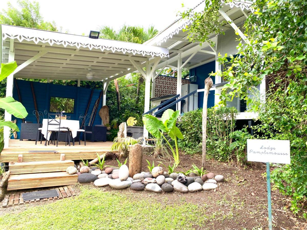 Lodge Pamplemousse Avec Piscine Privative , Dans Parc Calme A 500 M Plage 勒卡尔贝 外观 照片