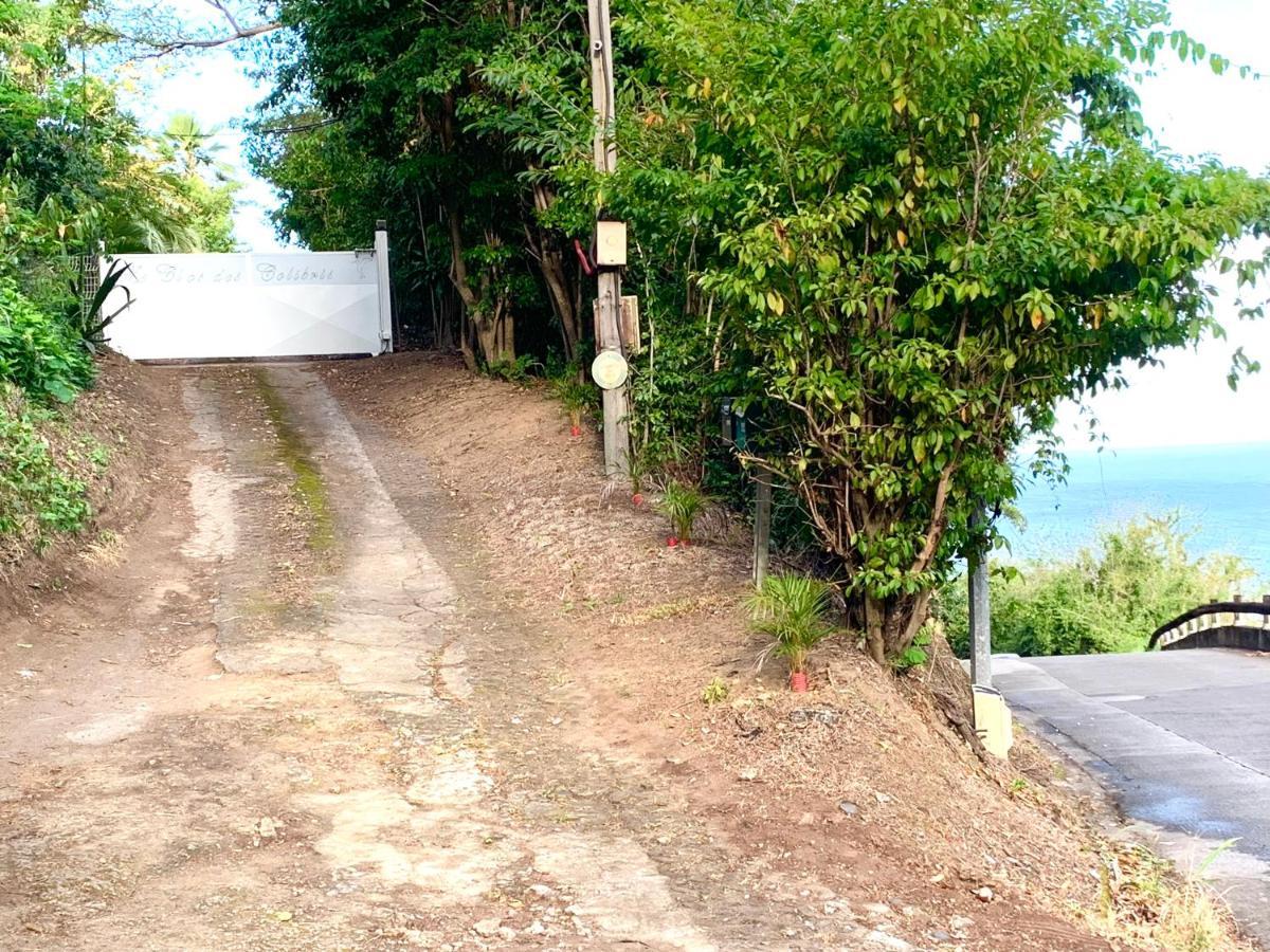 Lodge Pamplemousse Avec Piscine Privative , Dans Parc Calme A 500 M Plage 勒卡尔贝 外观 照片