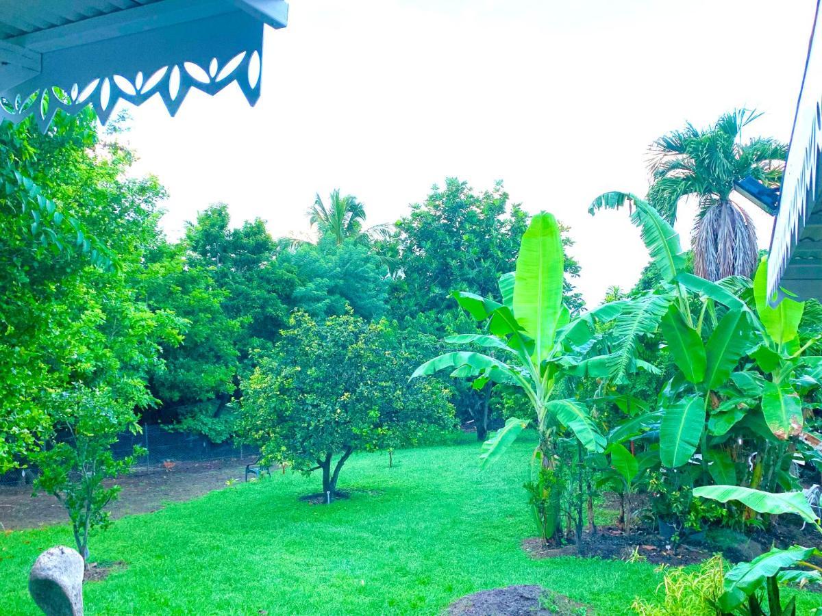 Lodge Pamplemousse Avec Piscine Privative , Dans Parc Calme A 500 M Plage 勒卡尔贝 外观 照片
